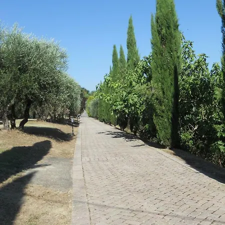 Il Mandorlo Apartamento