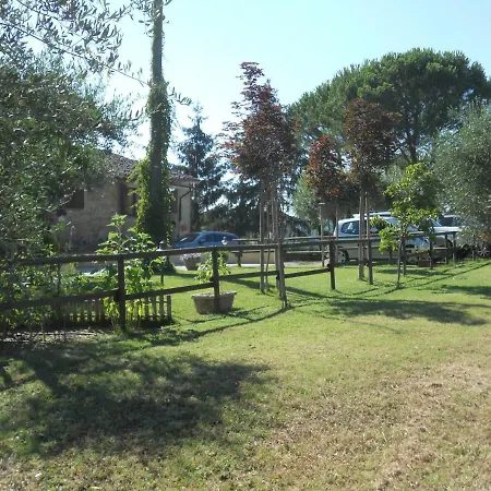 Il Mandorlo
