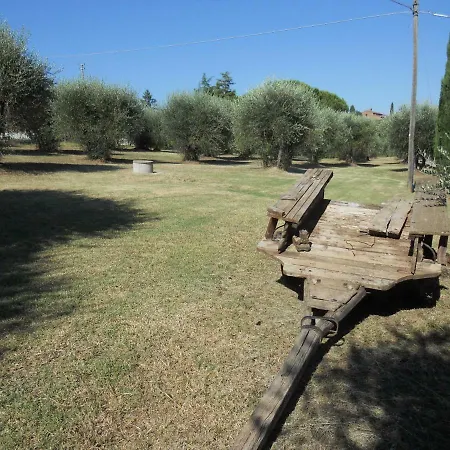 Il Mandorlo Apartamento *
